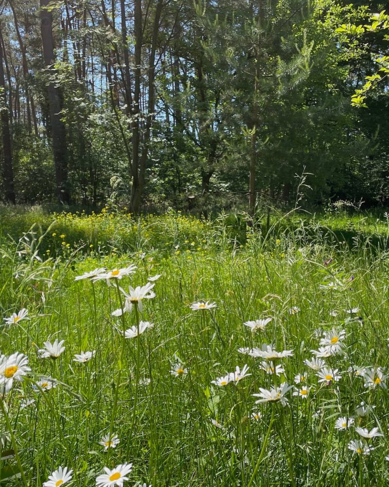 little-paradise-garten-2